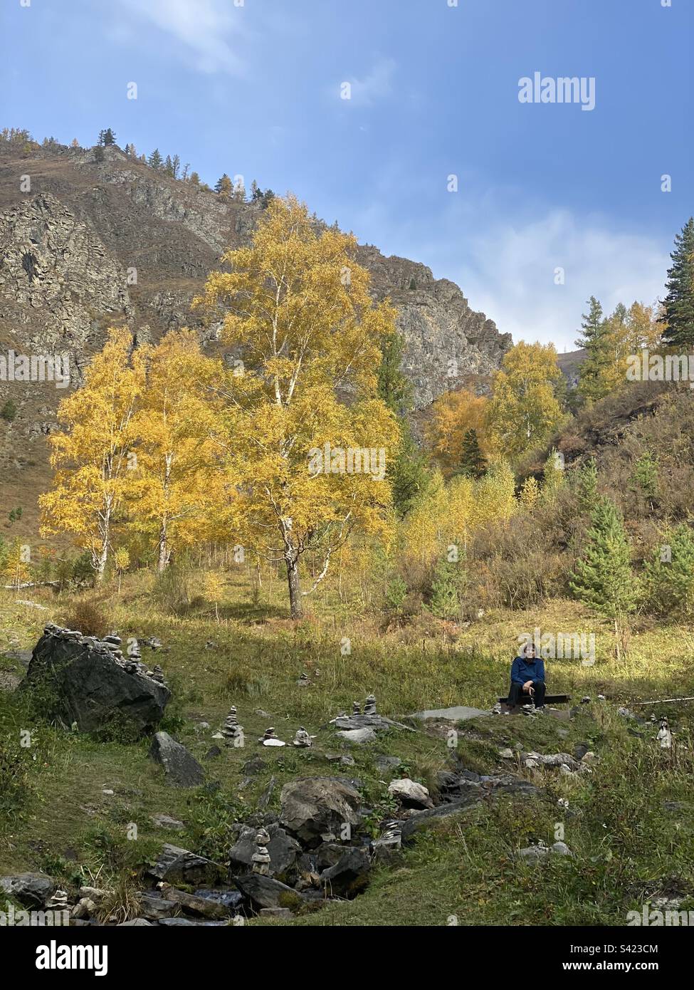 An elderly tourist woman is sitting on a log near trees in the stone mountains of Altai. - Smartphone Captured Stock Image