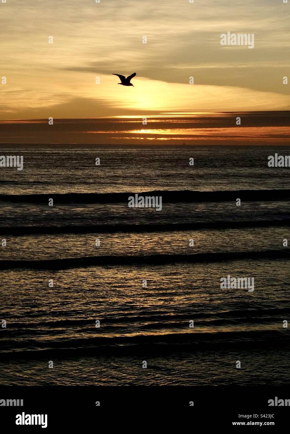 New day - Smartphone Captured Stock Image