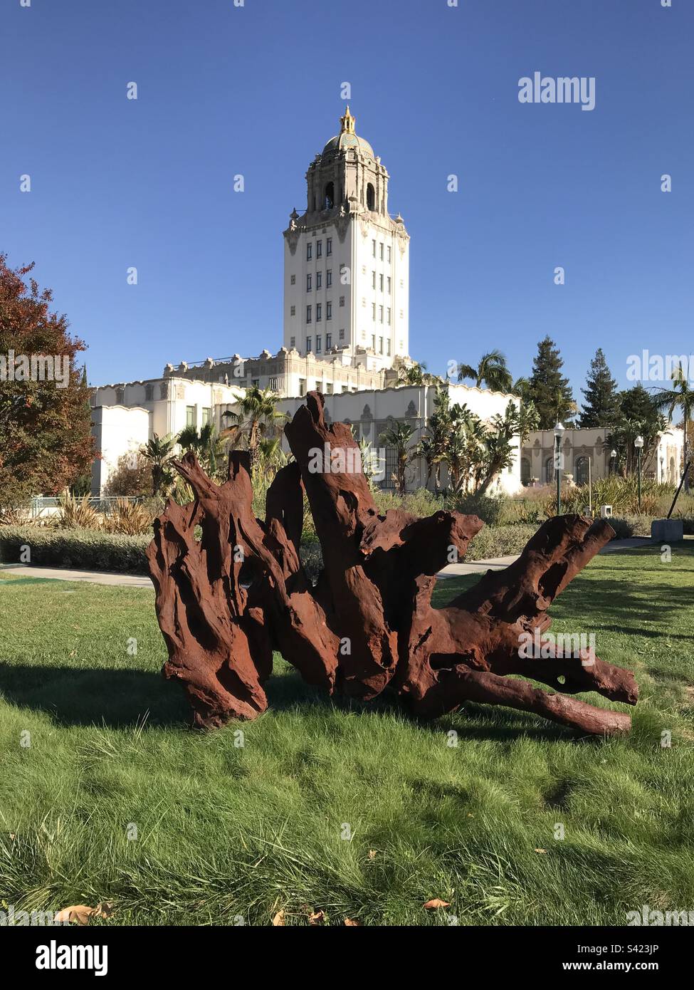 Iron Root sculpture by Chinese artist Ai Weiwei sits near near City Hall in Beverly Hills California. Stock Photo