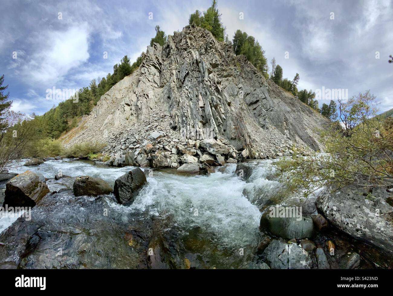 Panorama of a fast mountain stream flowing along a cliff in Altai in Siberia. - Smartphone Captured Stock Image