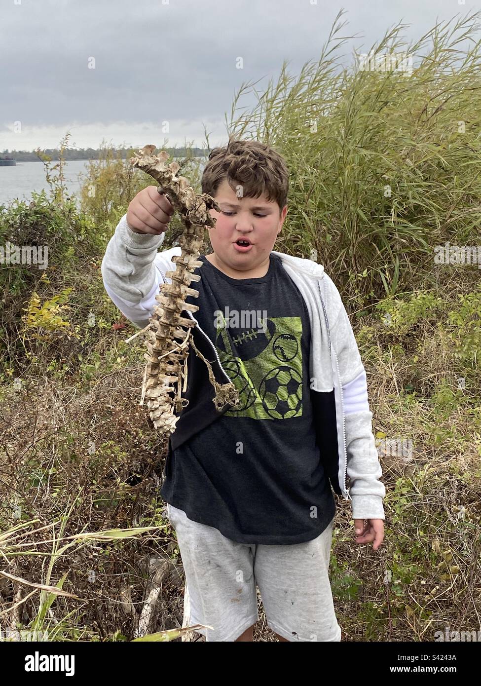 Boy found a spine along the Mississippi River. Stock Photo