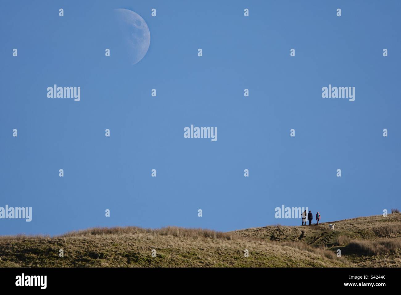 Family walk with a moon Stock Photo