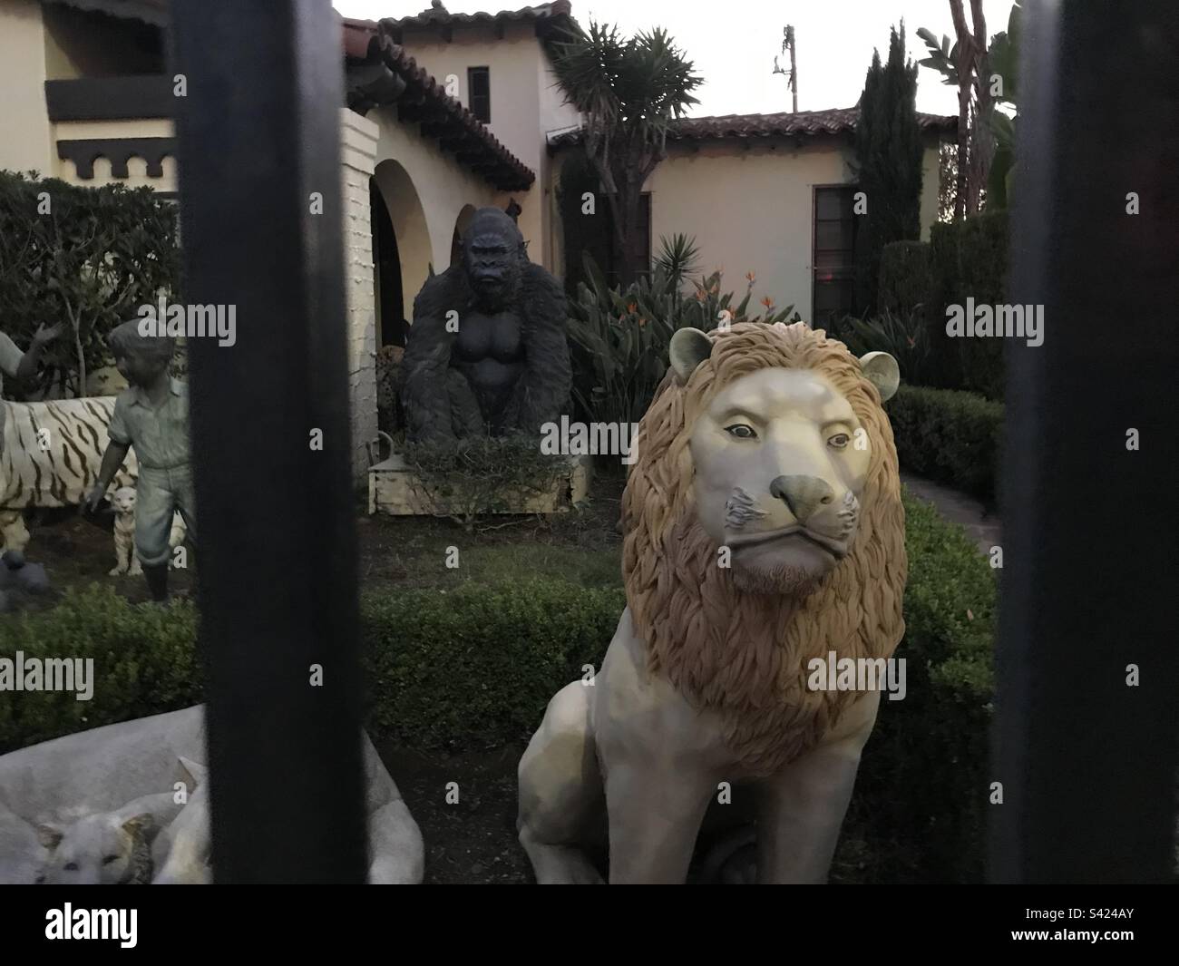 A lion and a gorilla appear to guard this Beverly, California home, but they’re only two of many statues inhabiting the front yard. Stock Photo