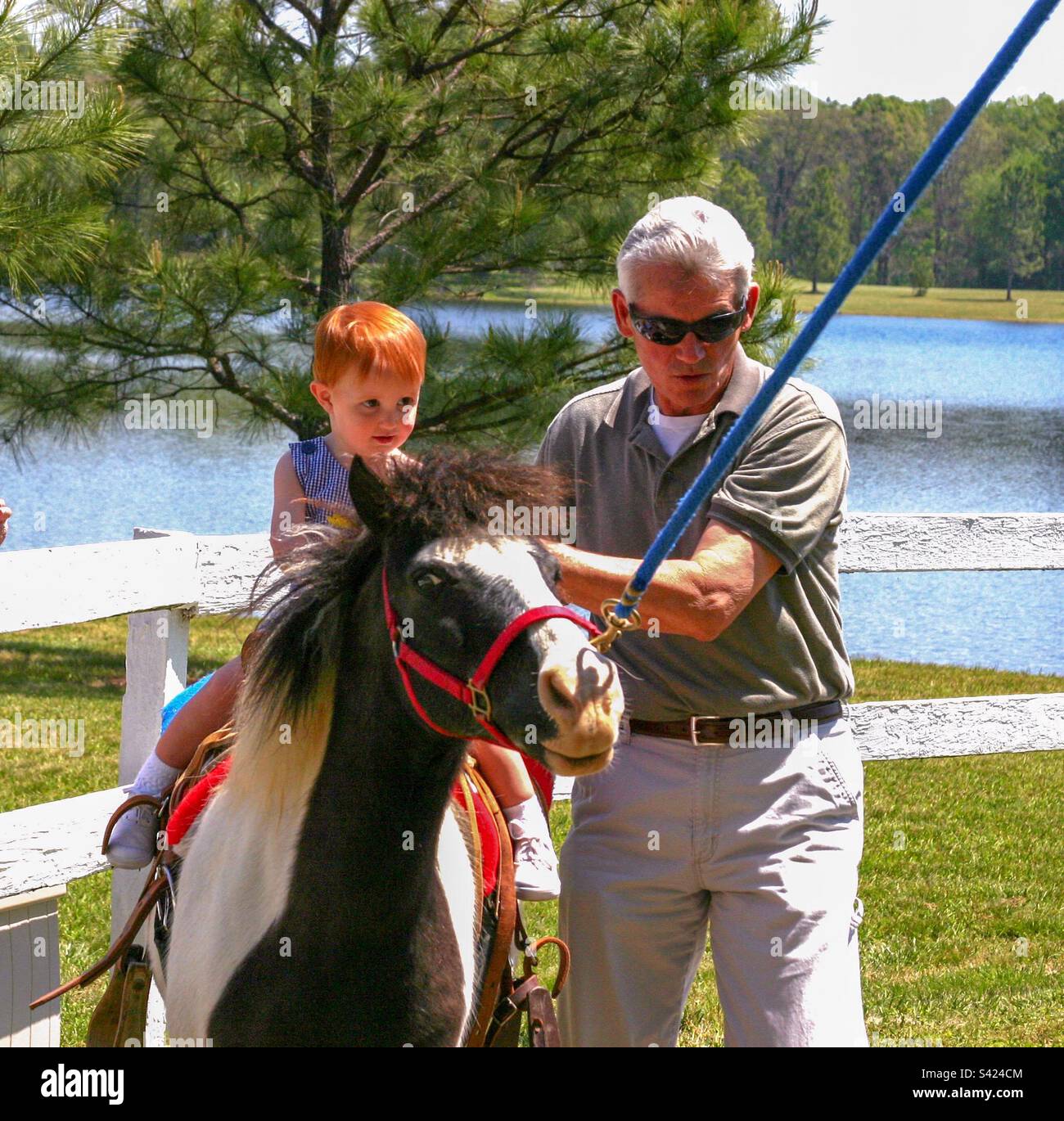 Grandfather holds grandson for pony ride. Stock Photo