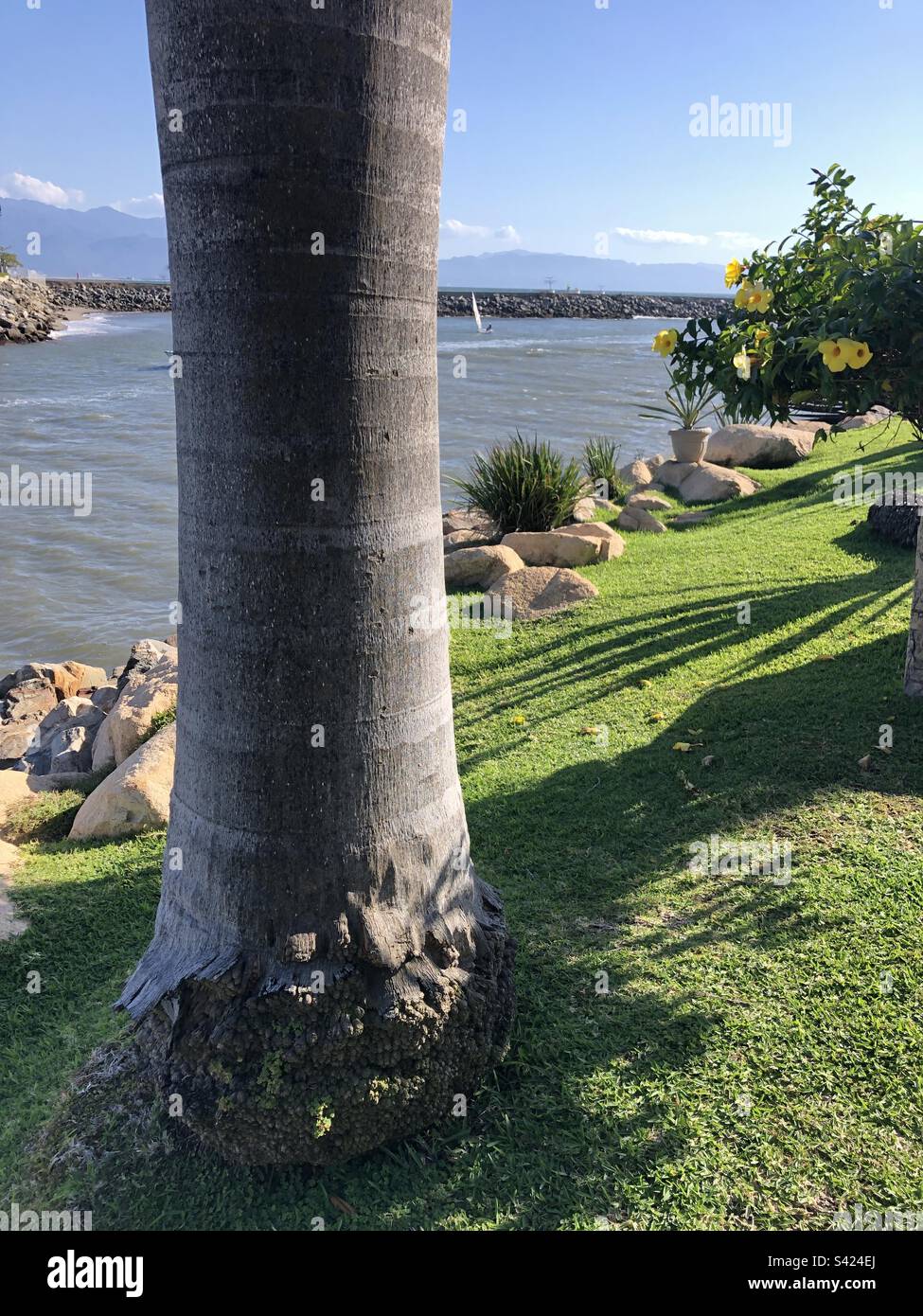 Nuevo Vallarta, Mexico. - Smartphone Captured Stock Image