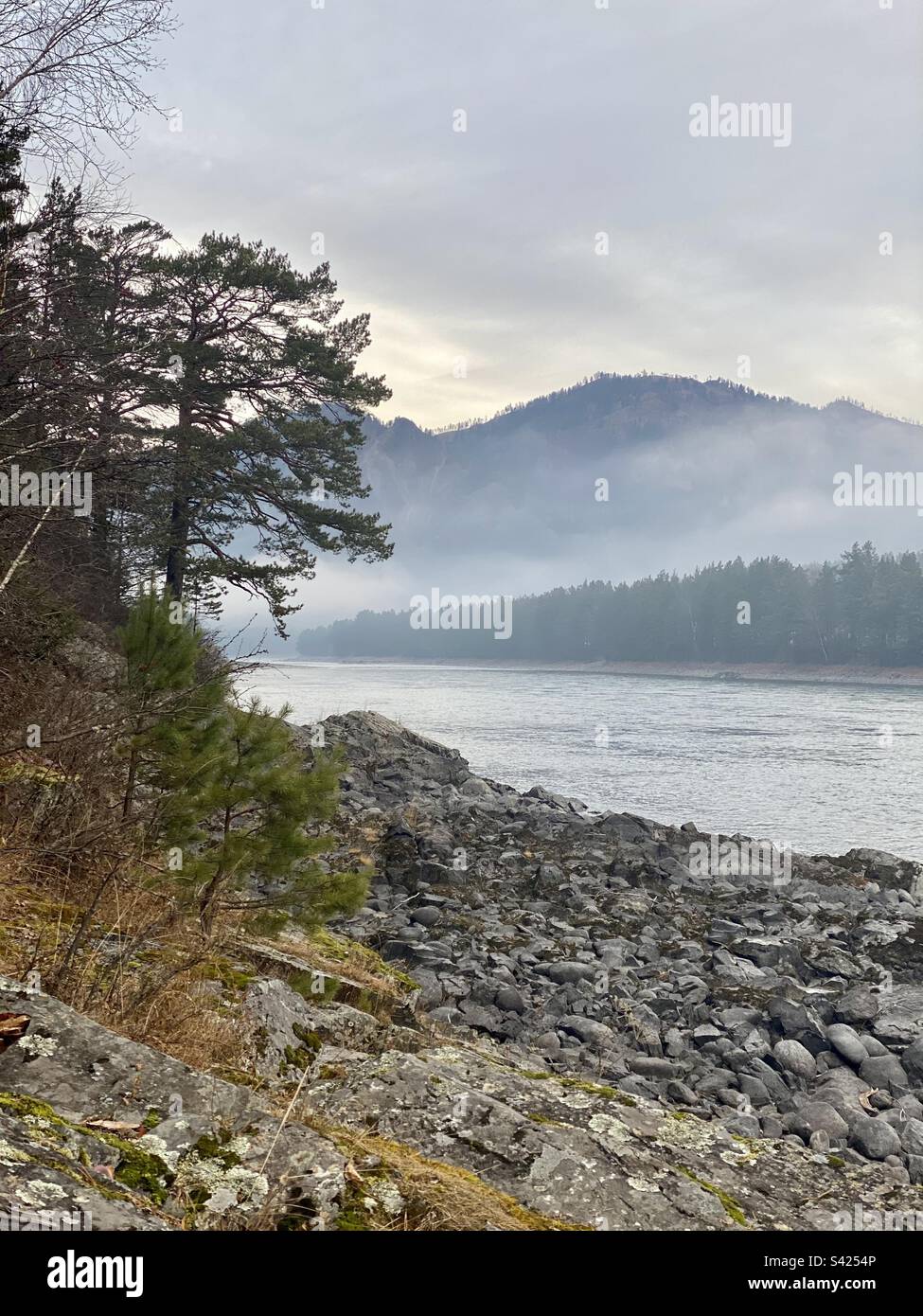 Morning fog over the mountains of the Katun River with stone banks in Altai in Siberia. - Smartphone Captured Stock Image