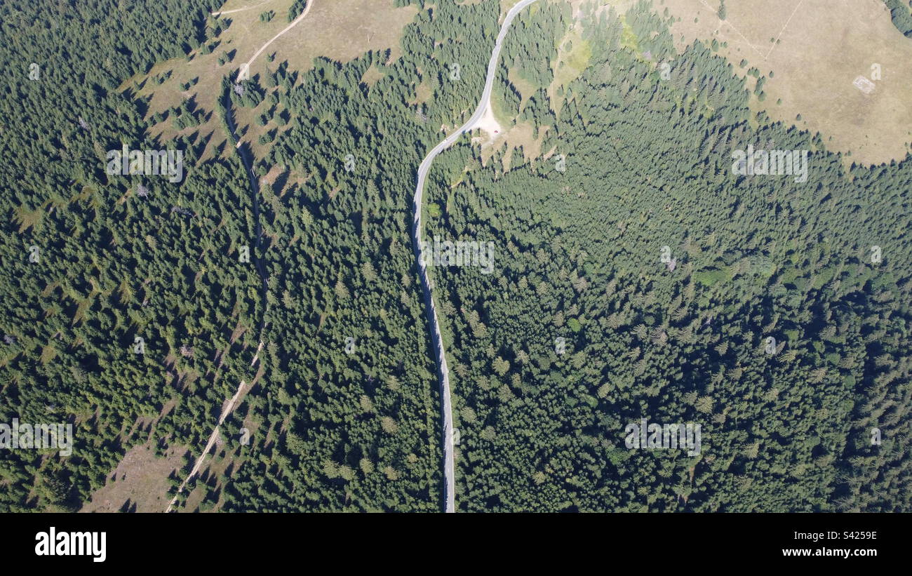 Drone forest flying hi-res stock photography and images - Alamy