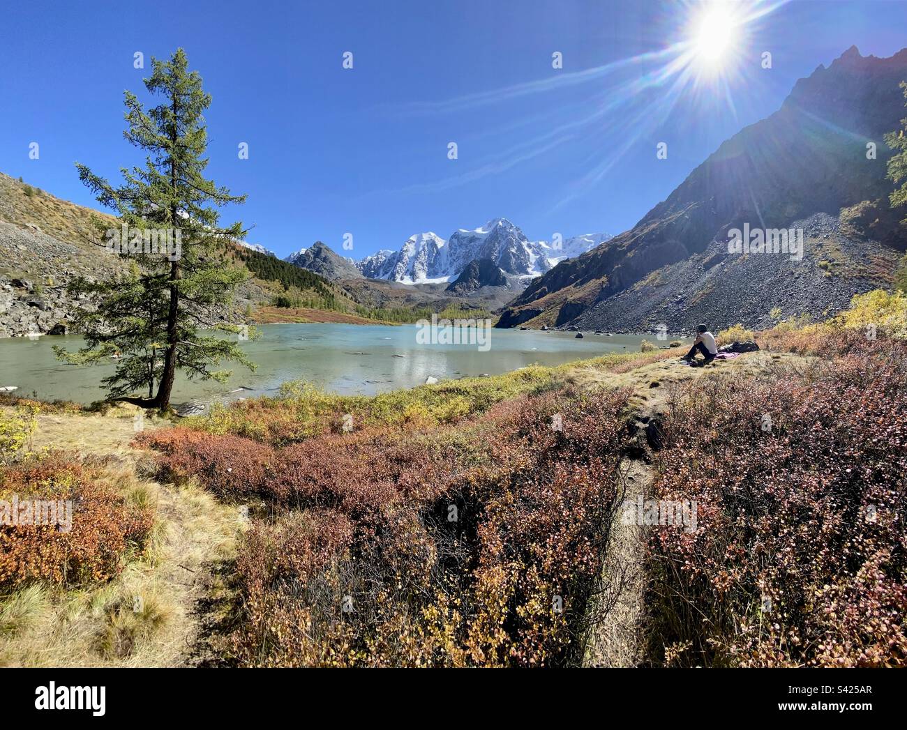A girl is sitting alone by an alpine lake among mountains with glaciers and snow in autumn on a grove near a tree in the Altai in Siberia. - Smartphone Captured Stock Image