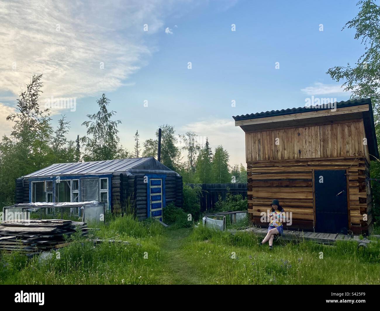 A Yakut girl is sitting looking at her phone on a garden plot in summer by a wooden bathhouse and a warm greenhouse among the grass. Stock Photo