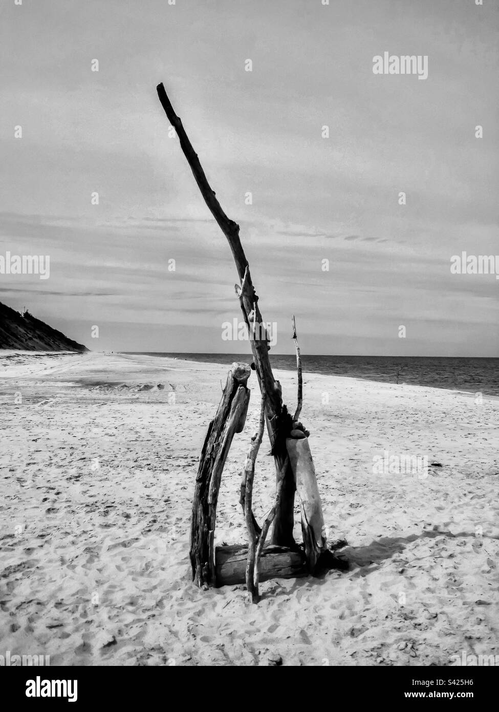 art-on-the-beach-black-and-white-stock-photos-images-alamy
