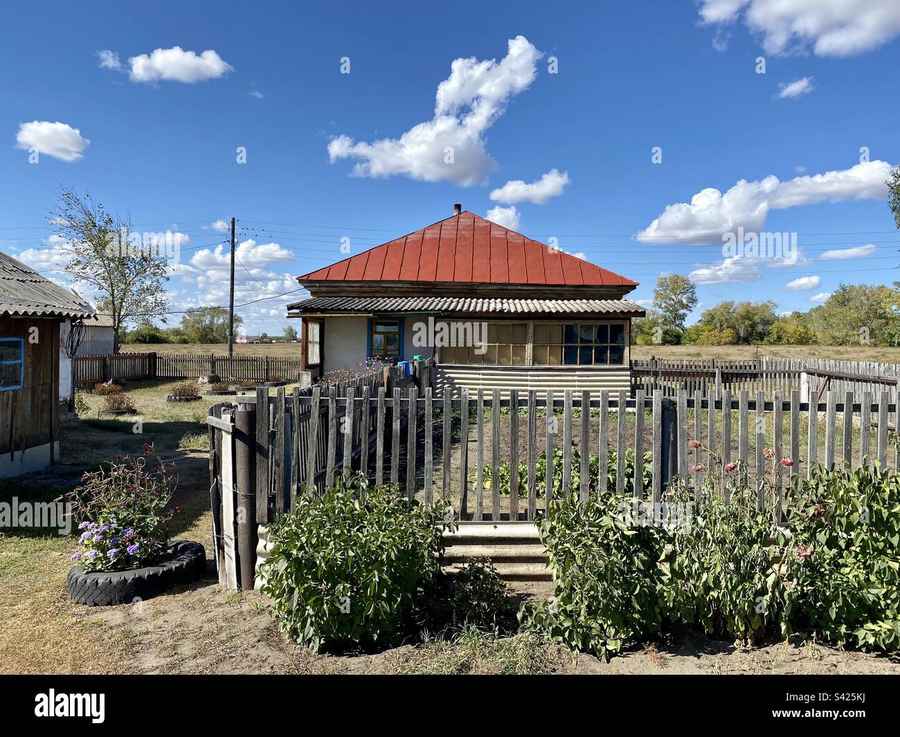 Russian cottage with a vegetable garden  behind the fence from animals at the flower bed in the afternoon. - Smartphone Captured Stock Image