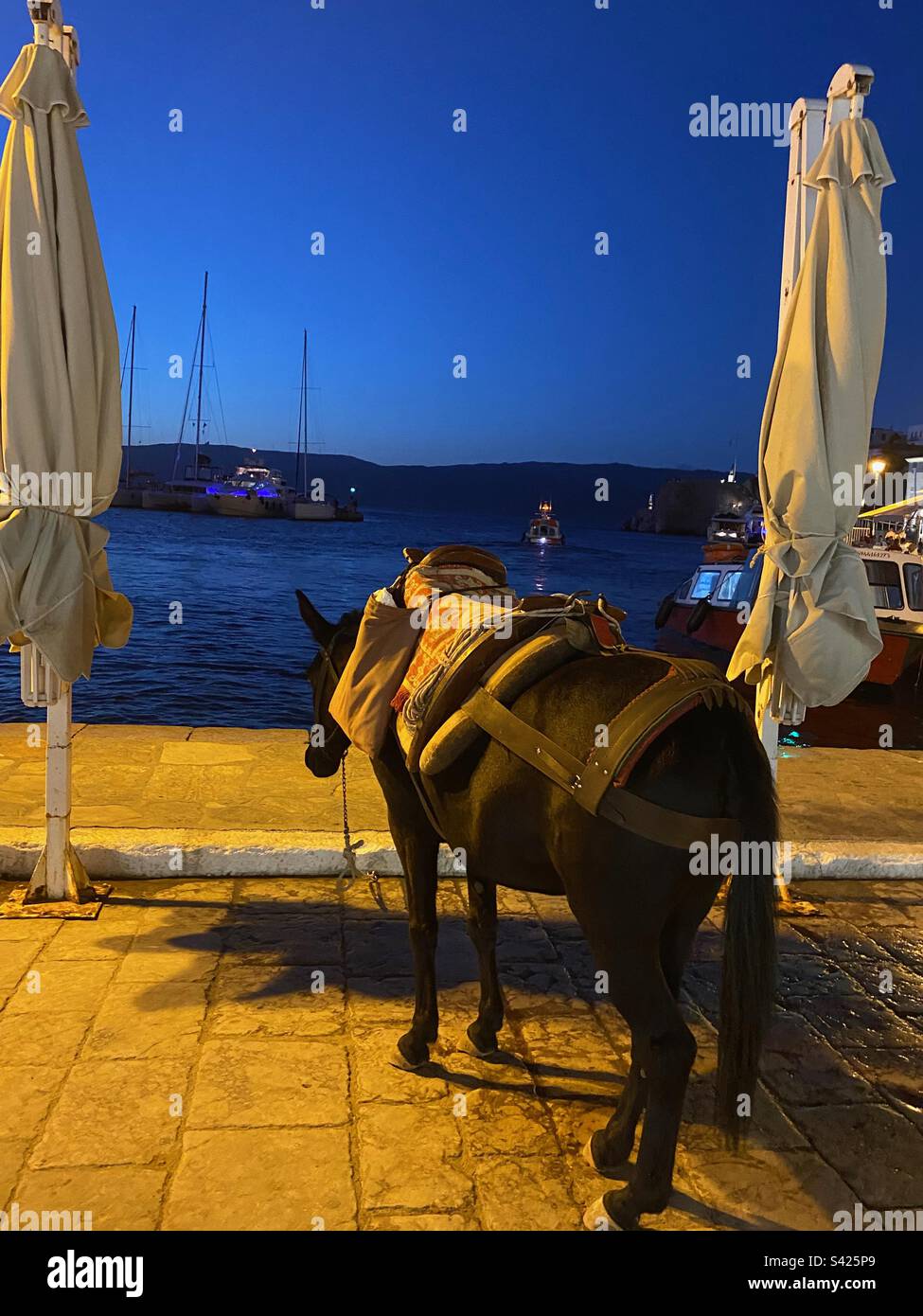 End of a hard day’s work - Smartphone Captured Stock Image