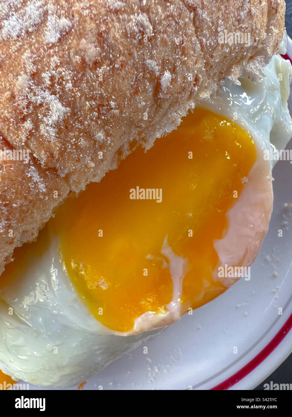 Fried egg sandwich - Smartphone Captured Stock Image