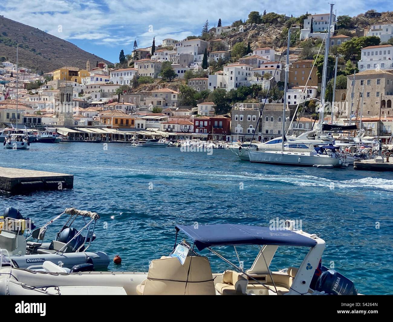 Lovely Hydra - Smartphone Captured Stock Image