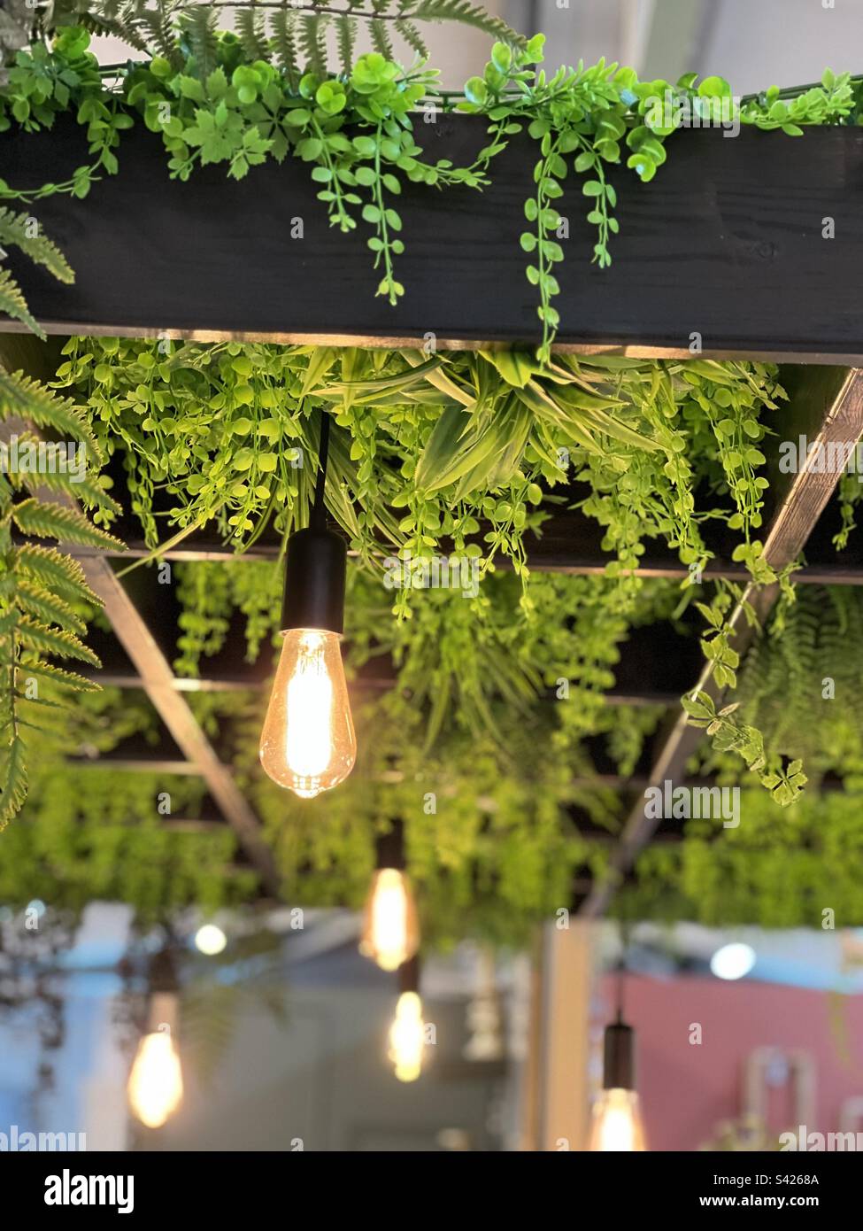 Hanging plants display hi-res stock photography and images - Alamy