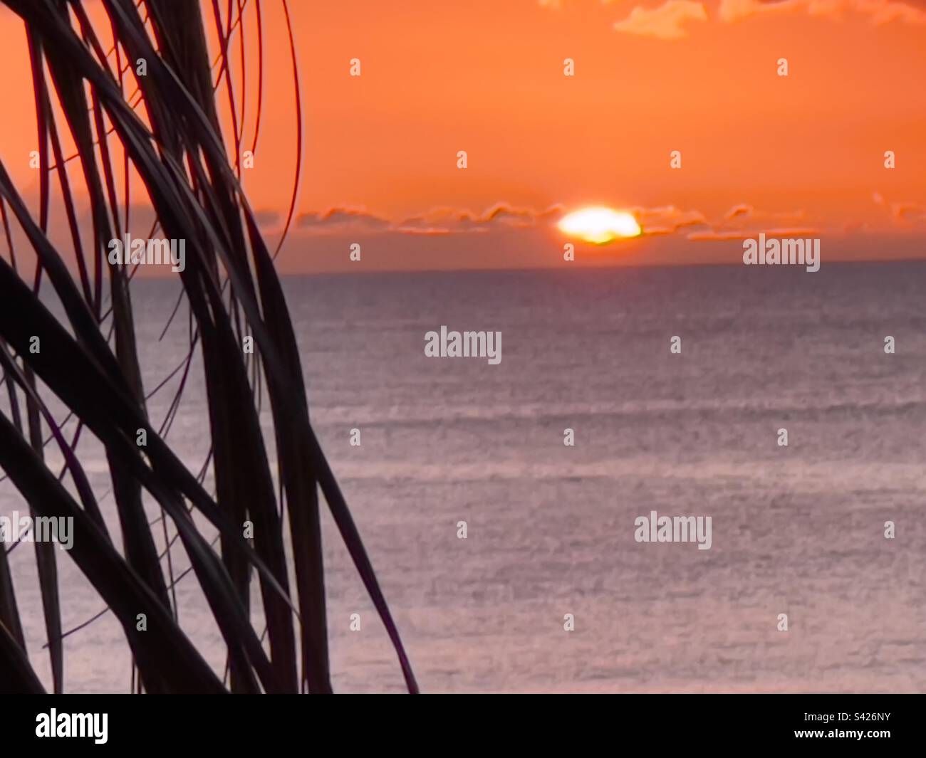 Sunset in Maurius - Smartphone Captured Stock Image