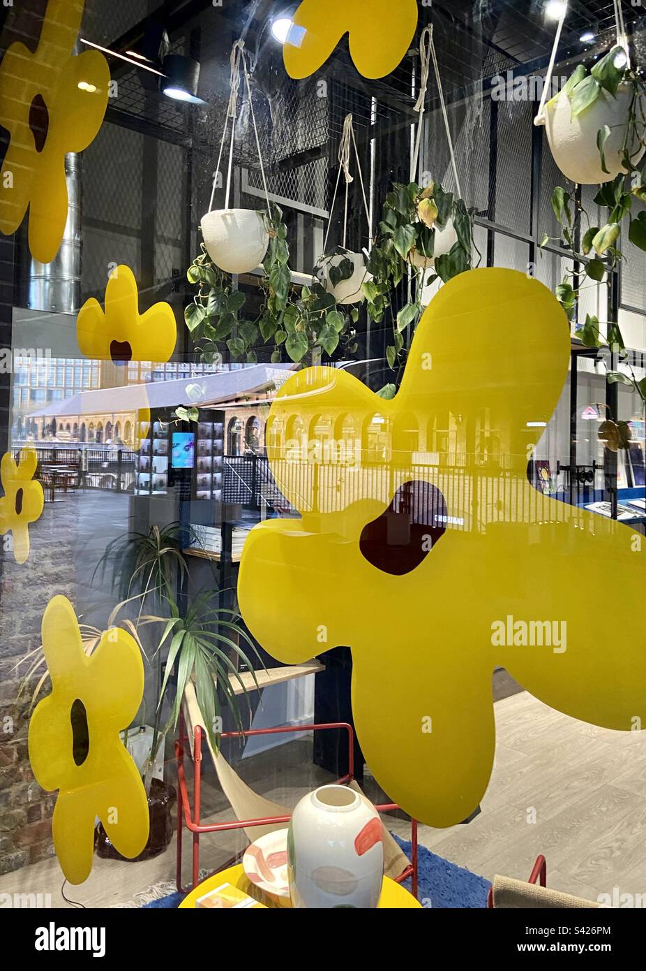 Giant daisies - Smartphone Captured Stock Image