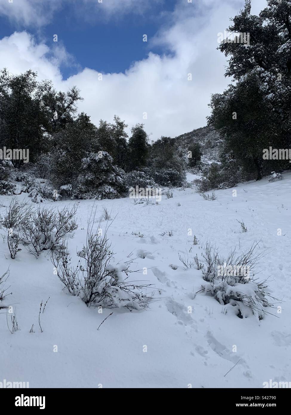 Pine valley california hi-res stock photography and images - Alamy