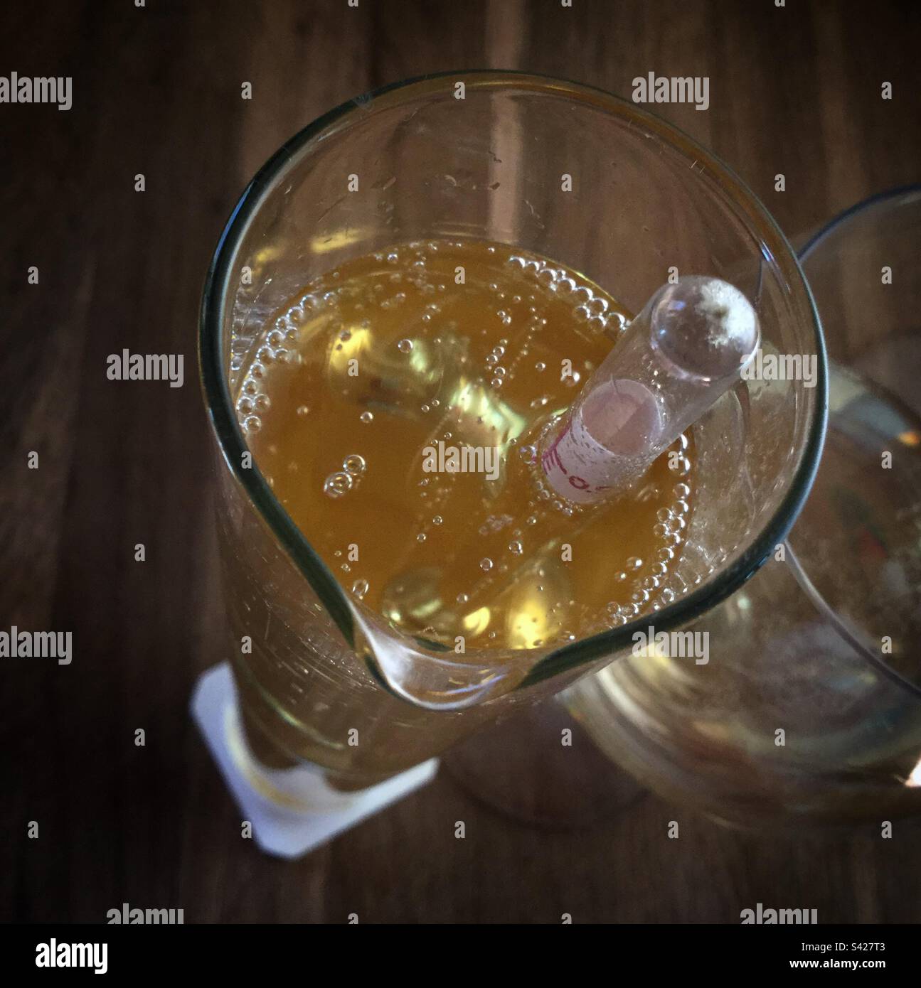 Testing sparkling wine with a hydrometer, Catalonia, Spain Stock Photo