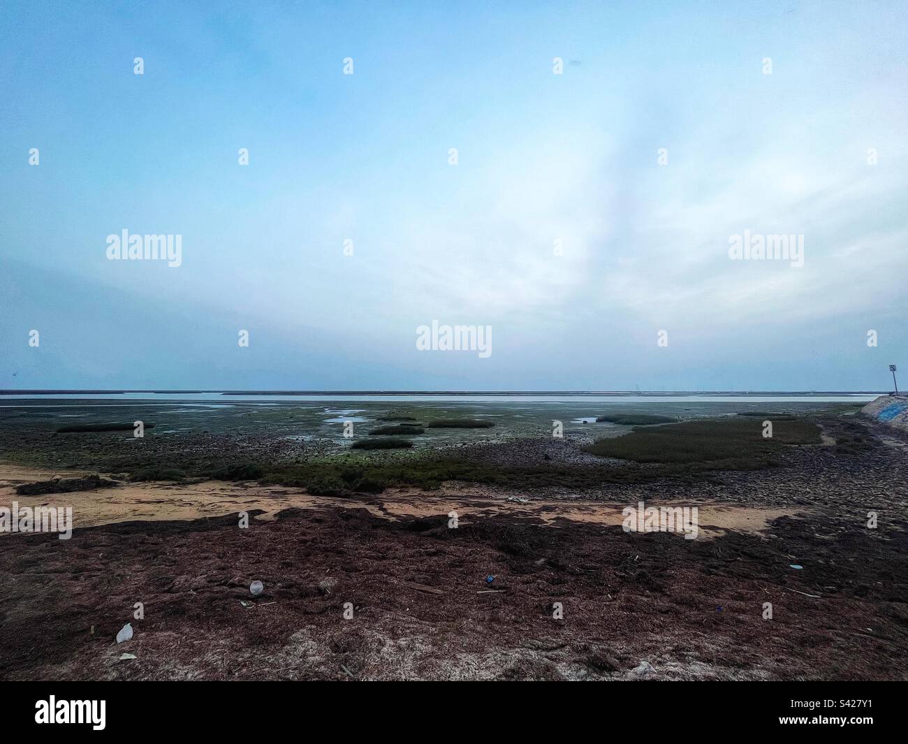 Ria Formosa lagoon system has a vast area of marshland, channels and islets from Faro old town, Algarve, Portugal - view from the coastal railway - Smartphone Captured Stock Image