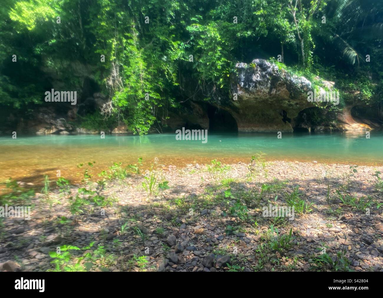 Caves Branch River, Cayo District, Belize Stock Photo