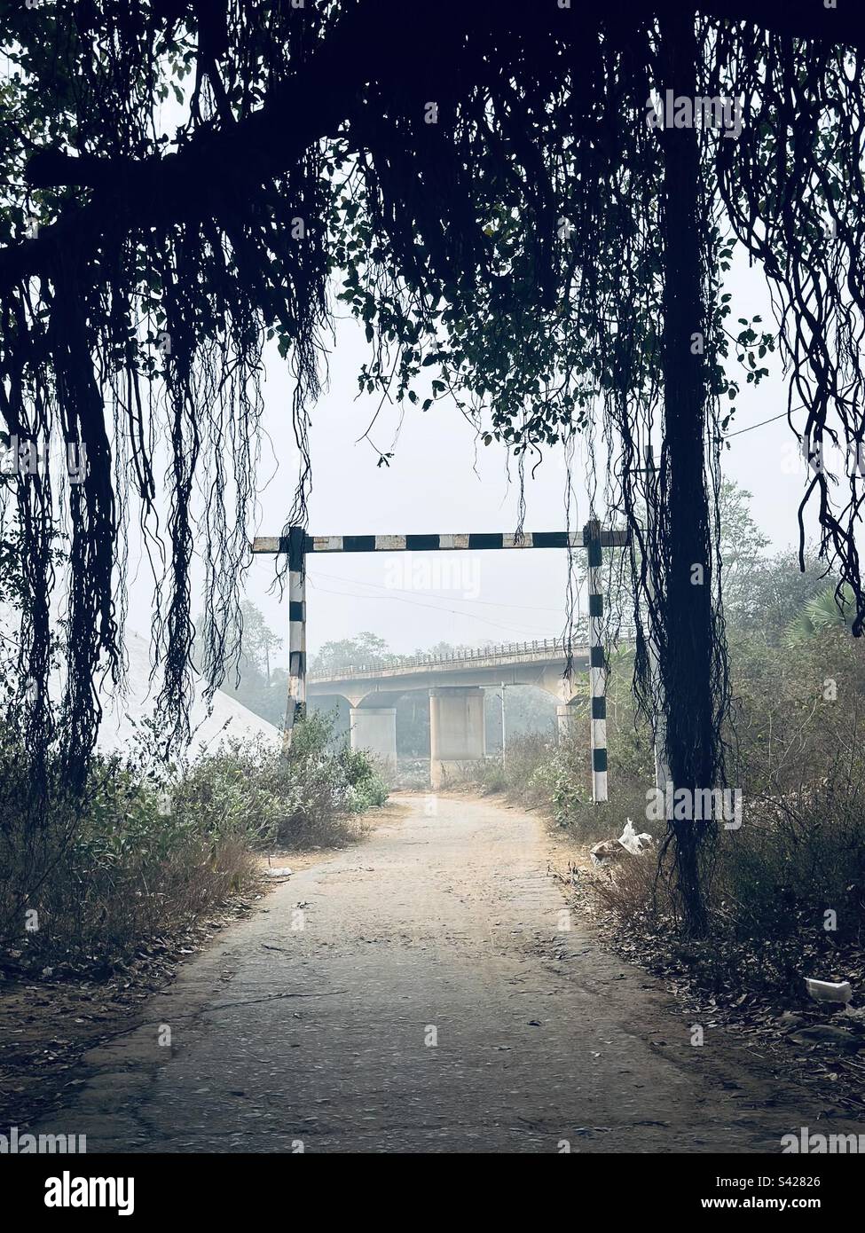 A way to the life is always finding a path through the barriers Stock 