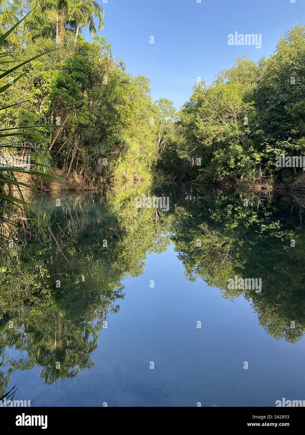 Berry springs swimming hole near Darwinnorthern territory Stock Photo