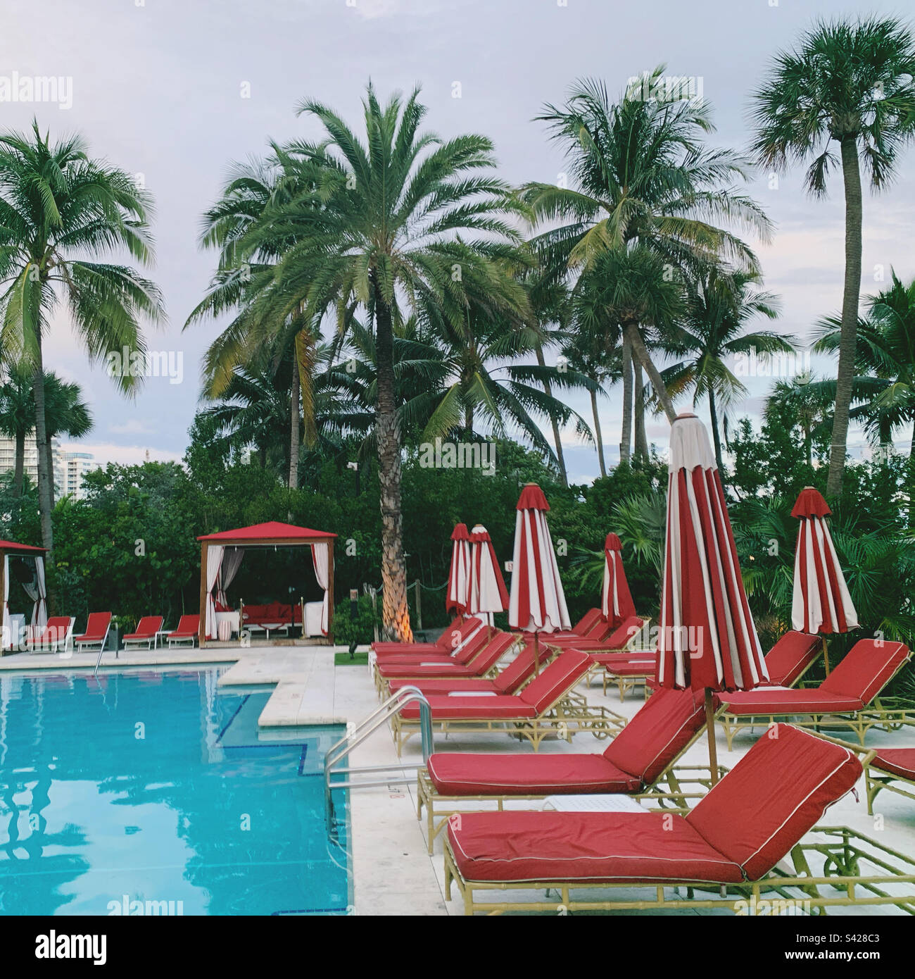 October, 2022, Dusk at the pool, Faena Hotel, Miami Beach, Florida, United States - Smartphone Captured Stock Image