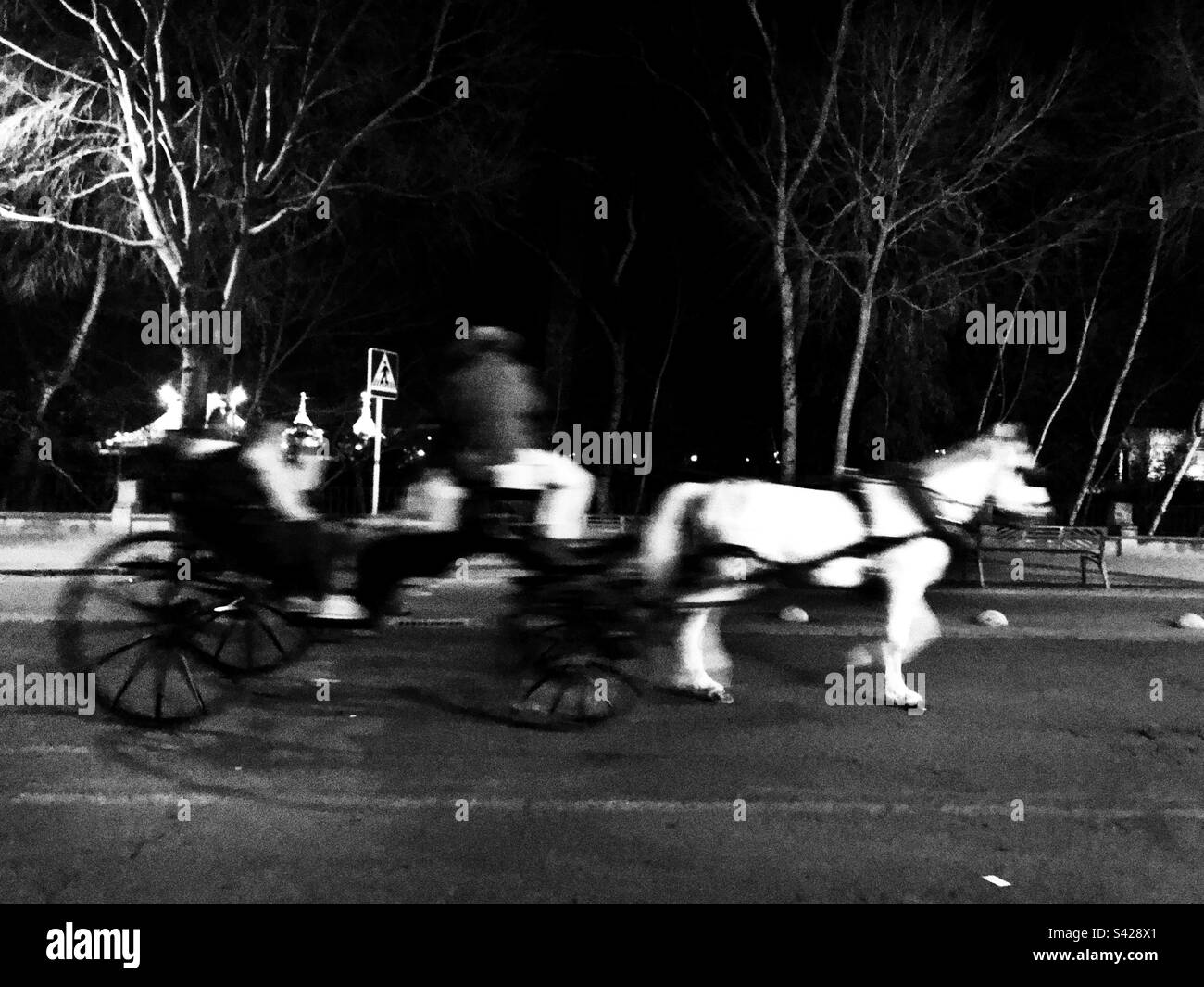Horse and coach photographed at night in cordoba Spain - Smartphone Captured Stock Image