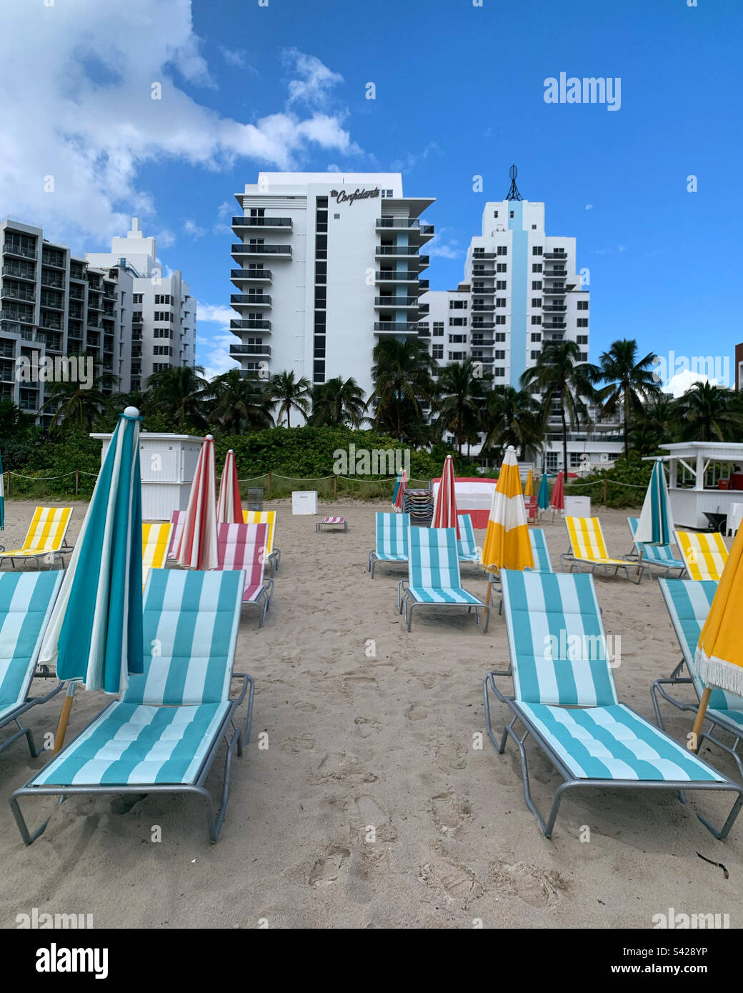 October, 2022, beach chairs at The Confidante Miami Beach, Miami Beach