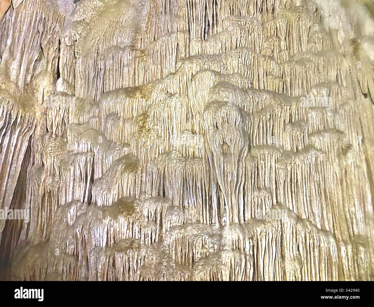 Amazing stalactites inside cavern at Caves Branch River, Belize - Smartphone Captured Stock Image