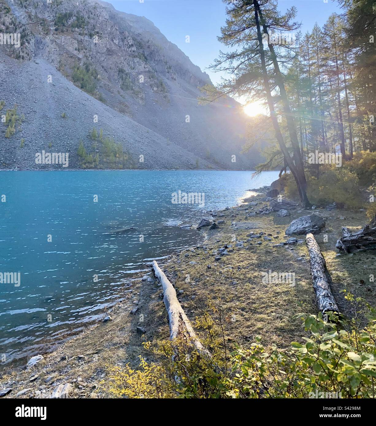 The sun sets over a small beach with a log by an Alpine lake at sunset in the Altai Mountains. - Smartphone Captured Stock Image