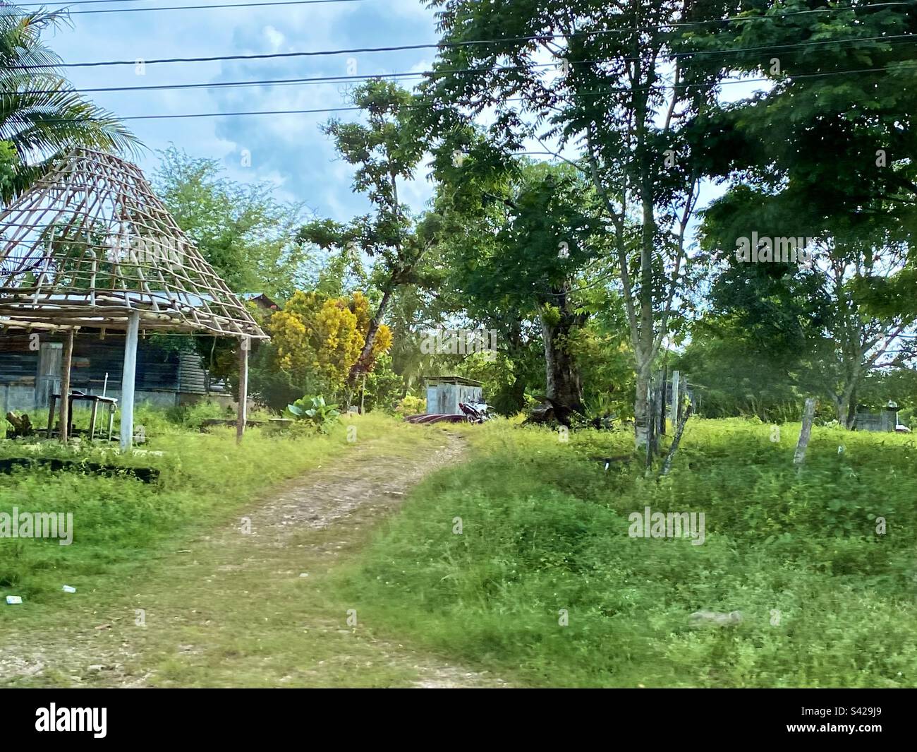 Roadside view from Hummingbird Highway, Armenia, Belize Stock Photo Alamy