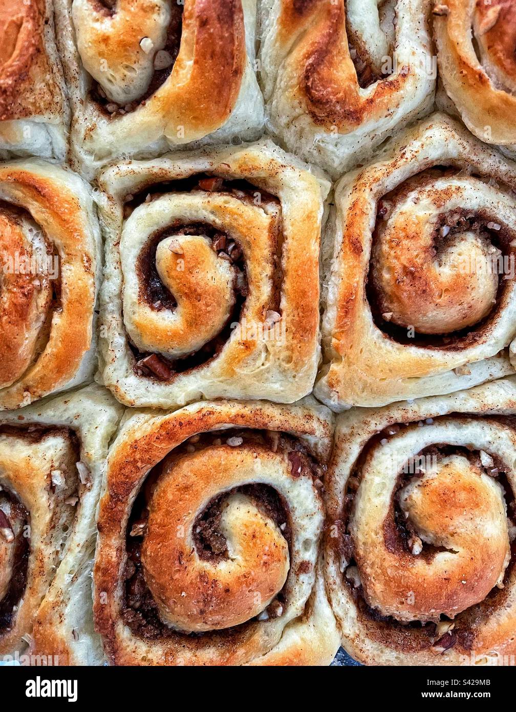 Homemade cinnamon buns. Stock Photo