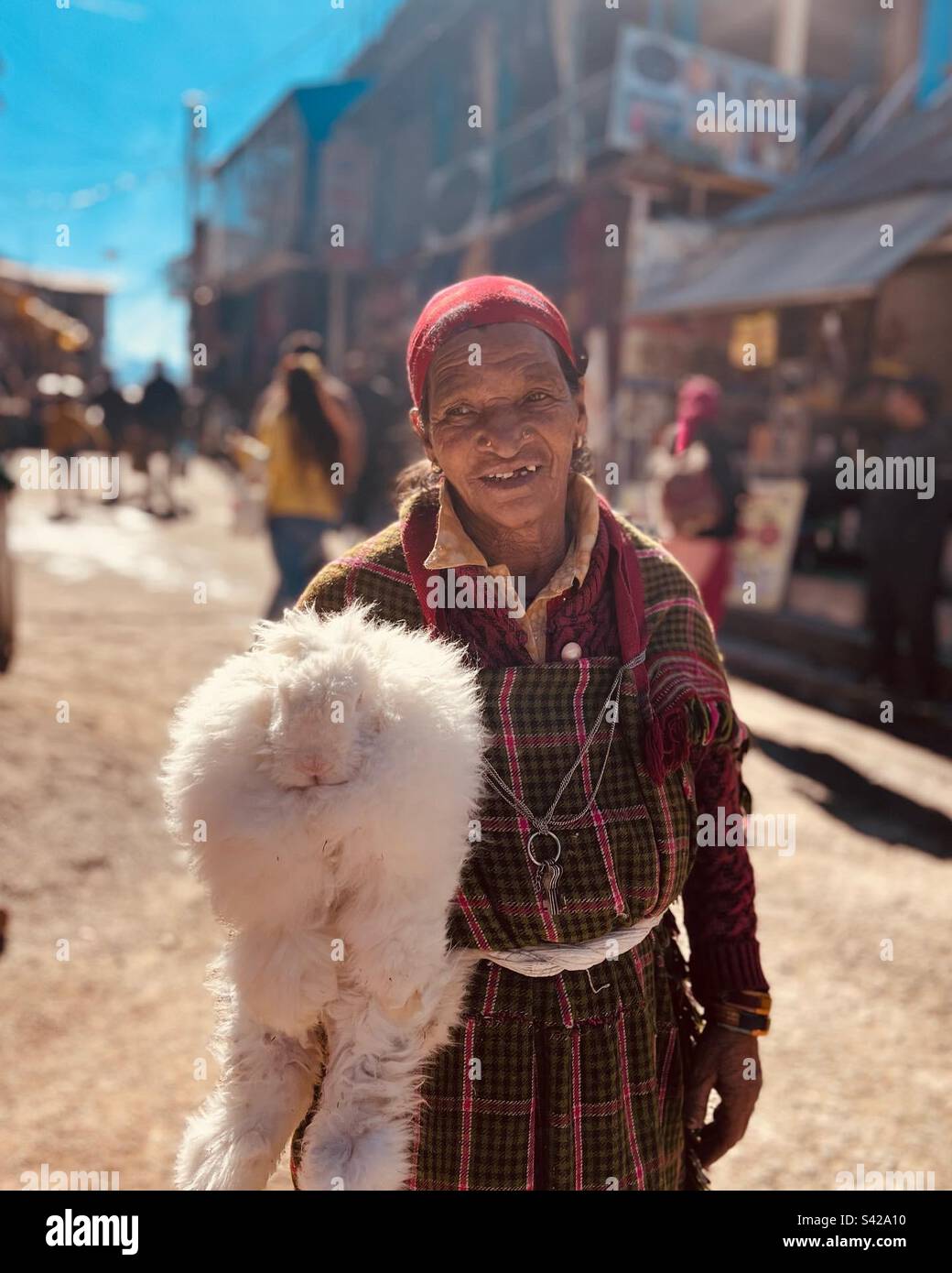 Manali tourists hi-res stock photography and images - Alamy