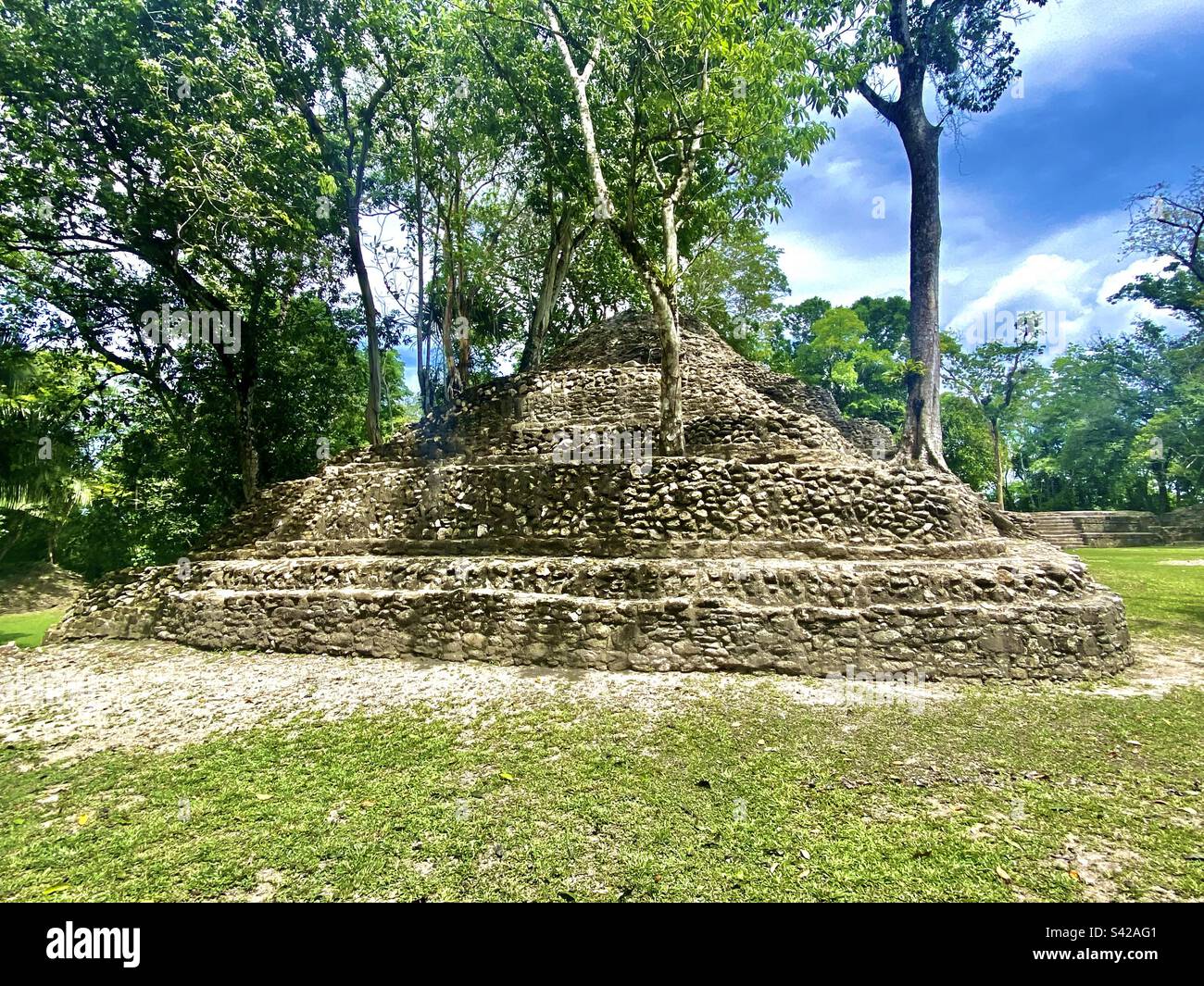 Mayan ruin Structure B2 at Cahal Pech Archaelogical Reserve in San Ignacio, Belize with trees grown out of it - Smartphone Captured Stock Image