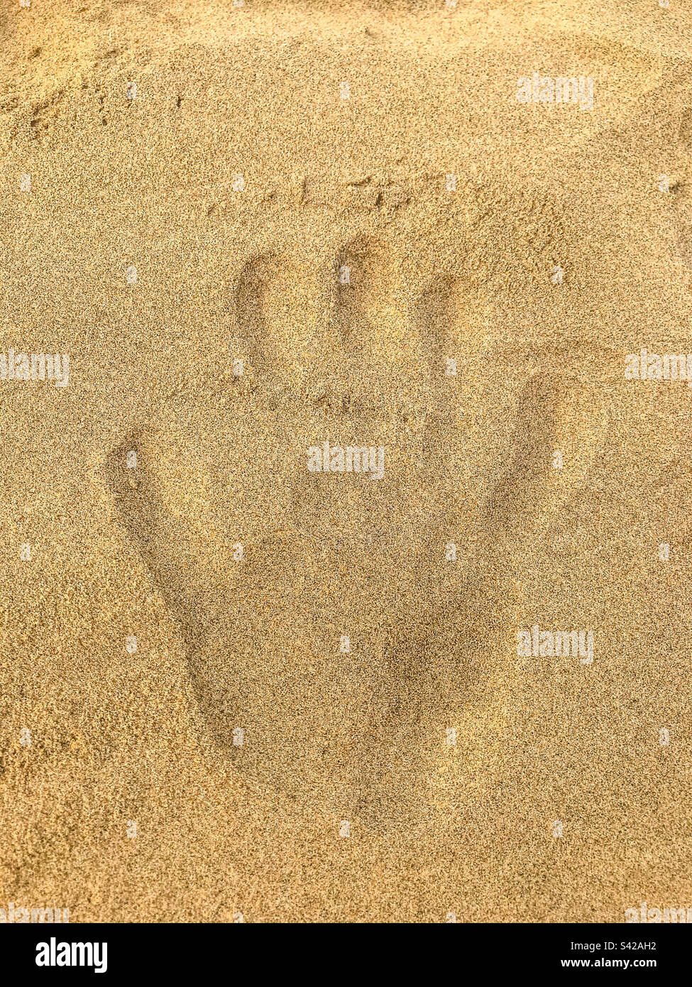 Hand print in the sand Stock Photo