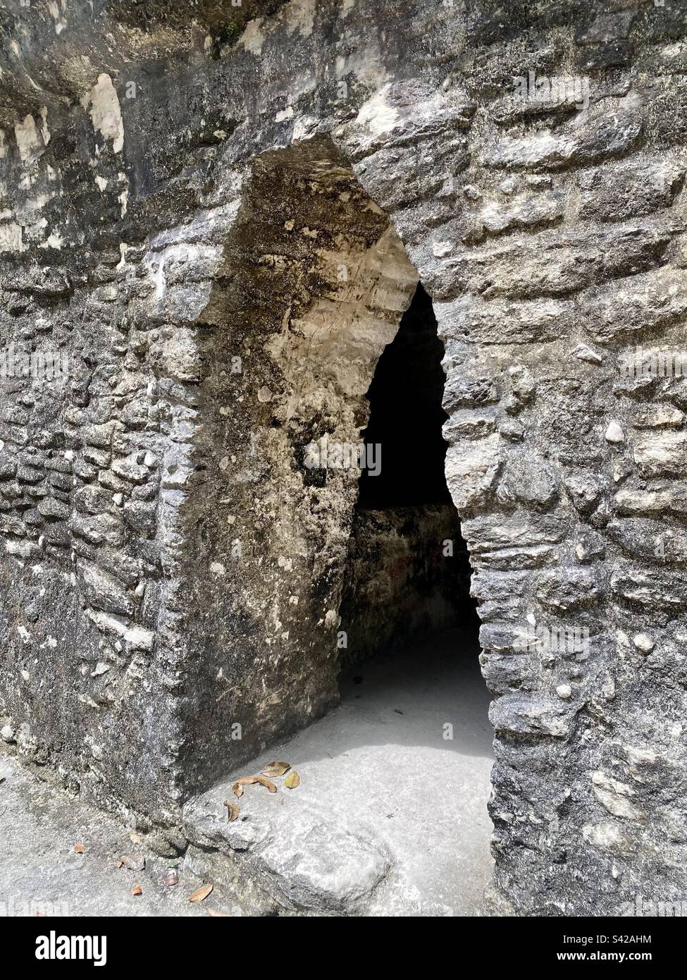 Arched entryway to a chamber of a Mayan ruin on Plaza E of Cahal Pech Archaelogical Reserve, Belize - Smartphone Captured Stock Image
