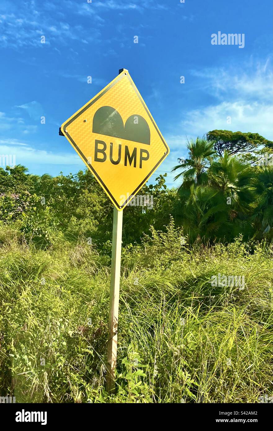 Sign for “BUMP” in road on Southern Highway, Hopkins, Belize - Smartphone Captured Stock Image