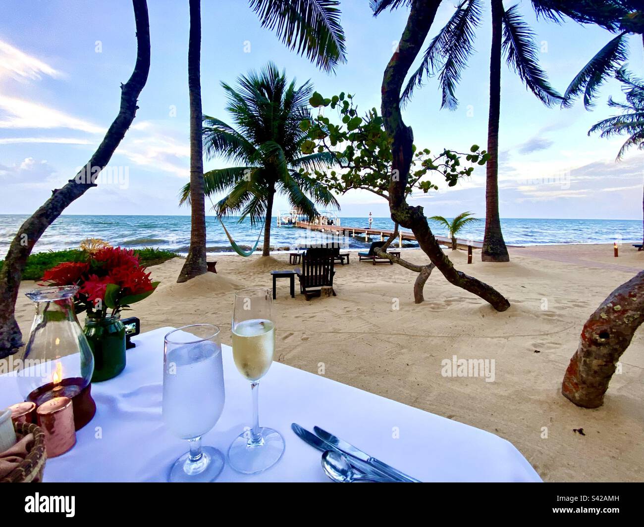 Beautiful view from dinner table on beach looking out through the palm