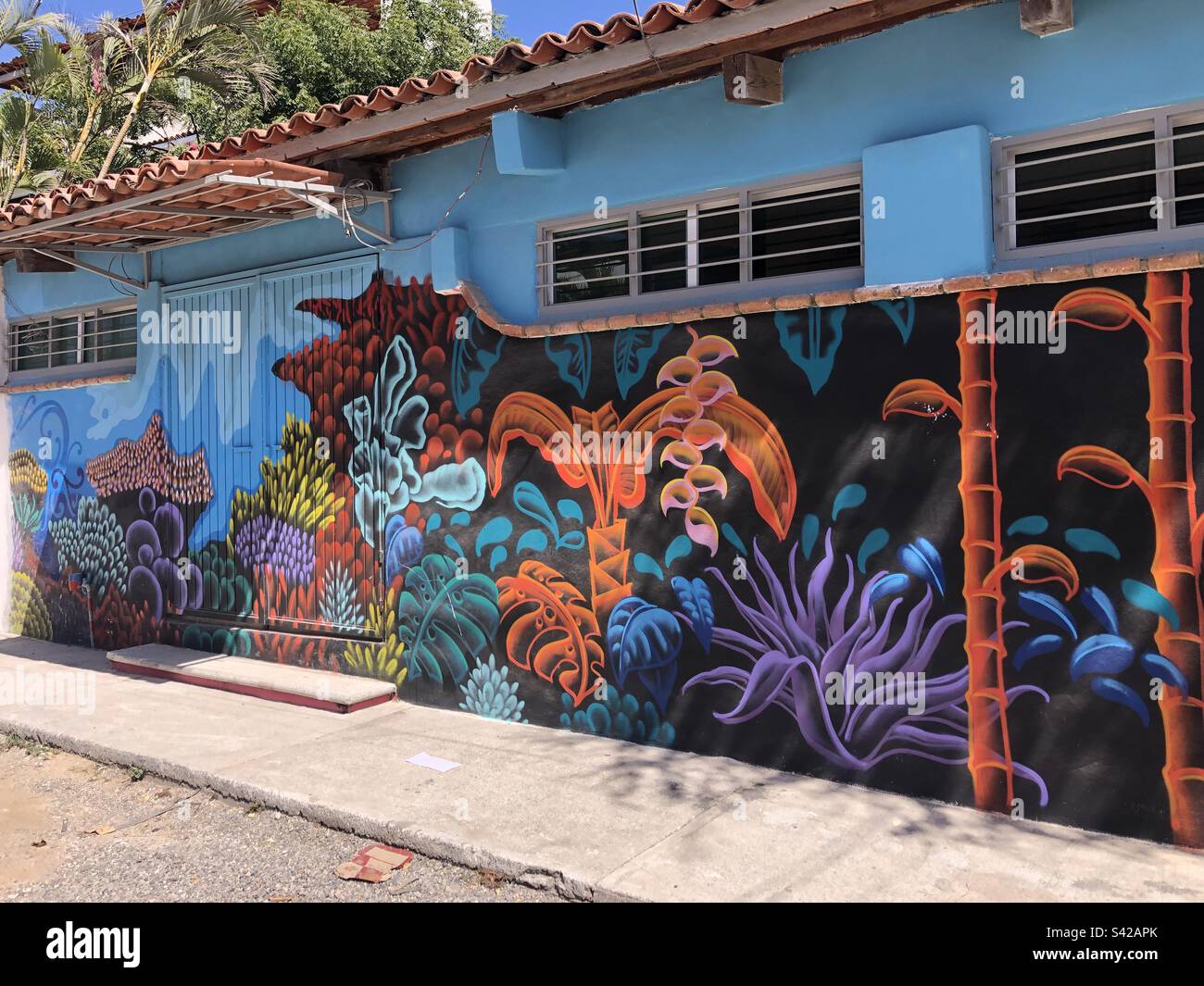 Colourful street art in Bucerias, México. - Smartphone Captured Stock Image