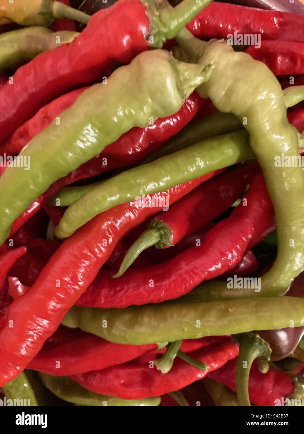Red & green long chillies Stock Photo Alamy