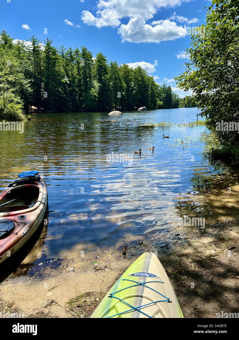 Kayaks ready to launch into a Fundy Cove at Pawtuckaway Lake in New Hampshire on. Sunny day in summertime - Smartphone Captured Stock Image