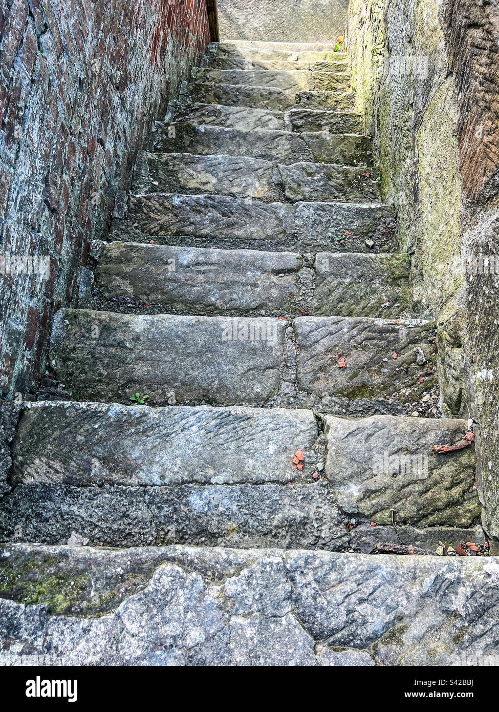 Old concrete steps Stock Photo