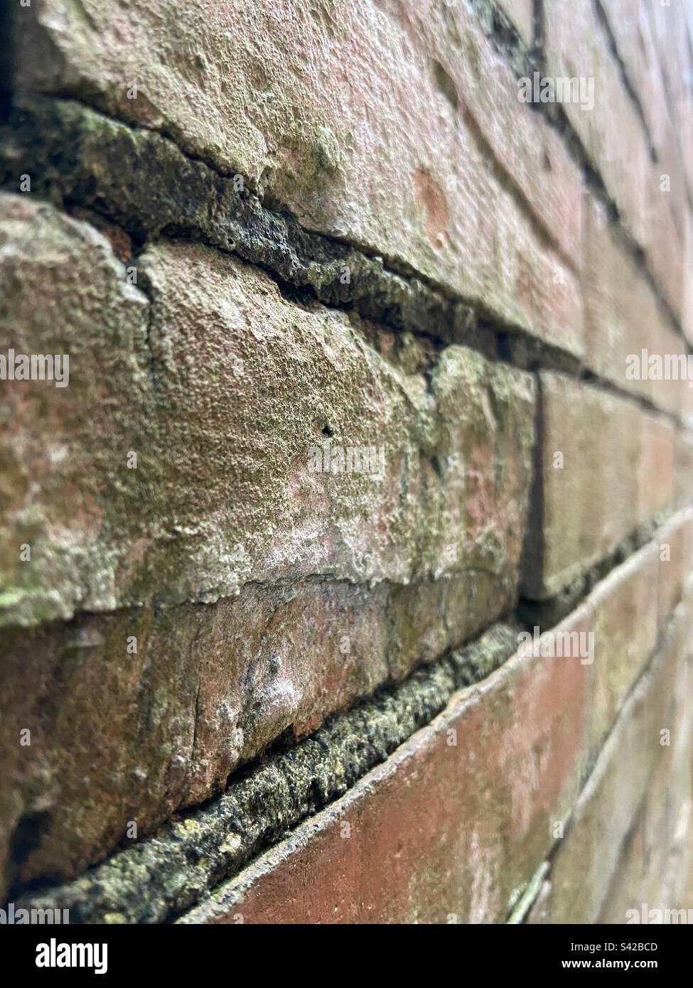 Aged garden wall hi-res stock photography and images - Alamy