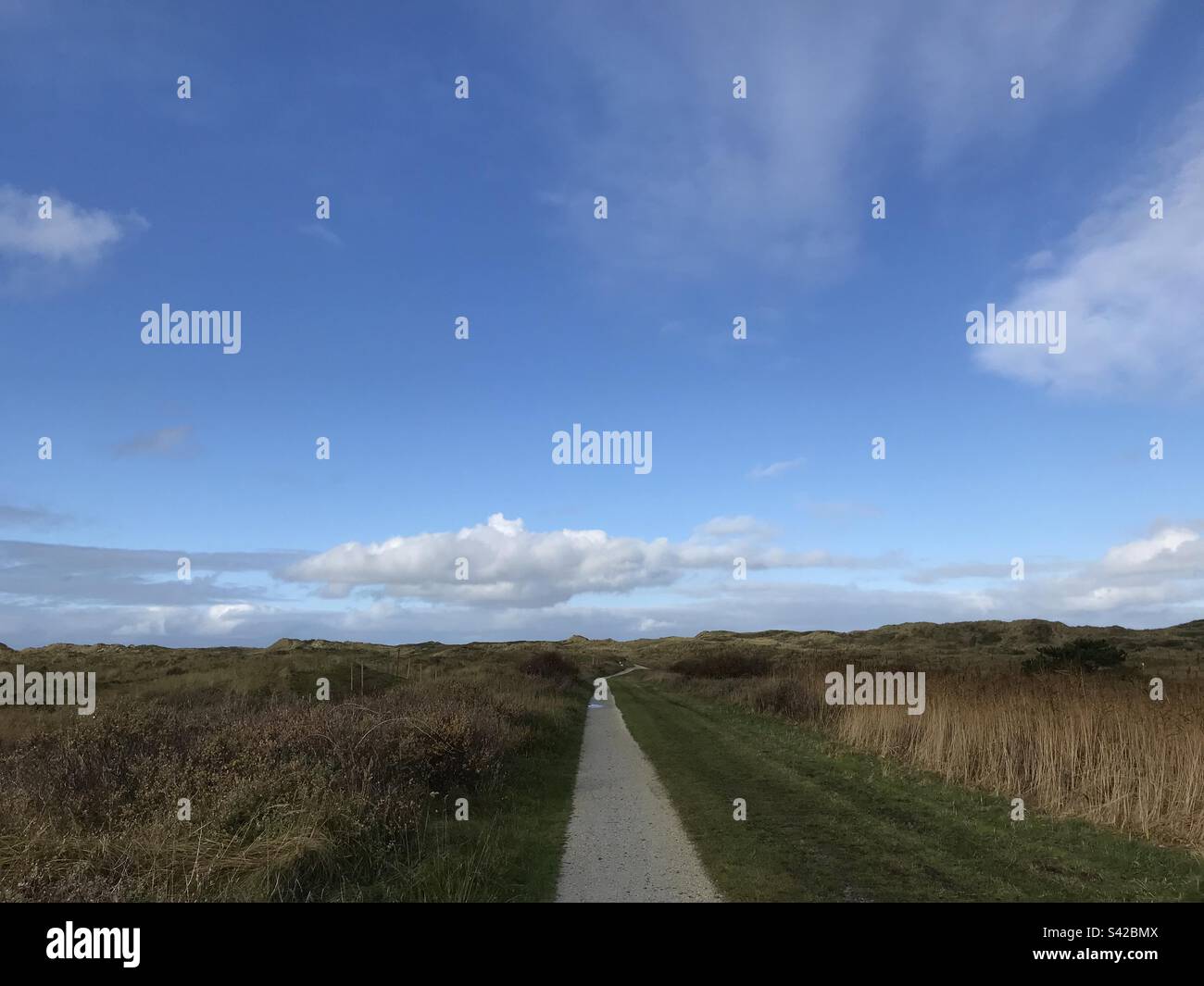 Empty road leading to the beach - Smartphone Captured Stock Image