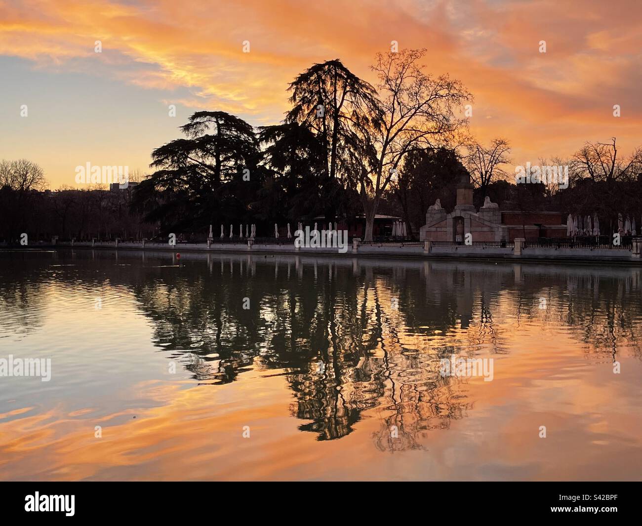 Pond at dawn. El Retiro park, Madrid, Spain. - Smartphone Captured Stock Image