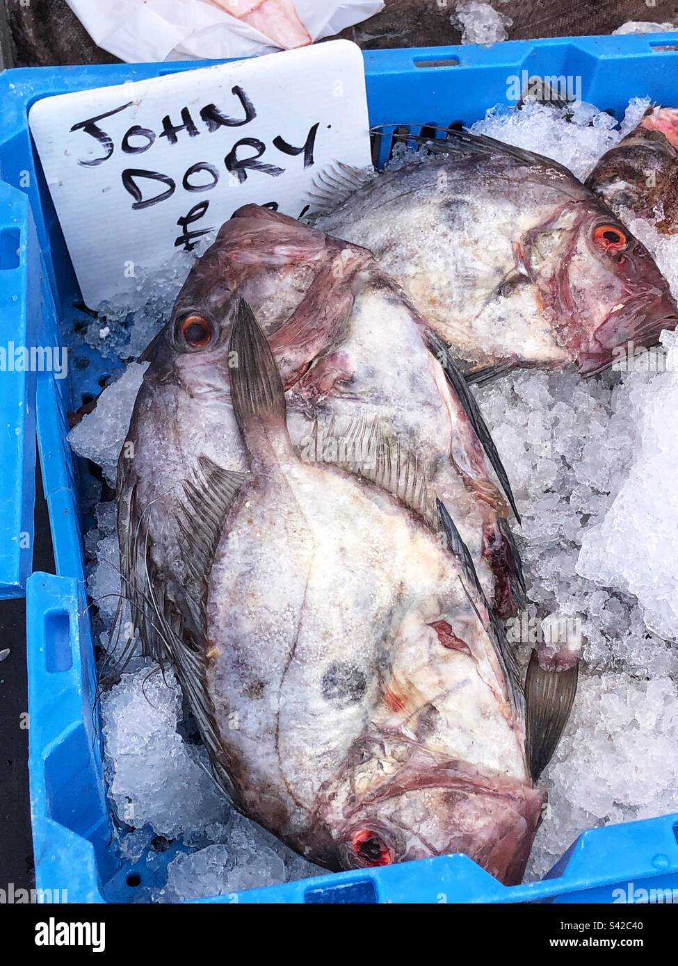 Fresh John Dory for sale at local farmers market - Smartphone Captured Stock Image