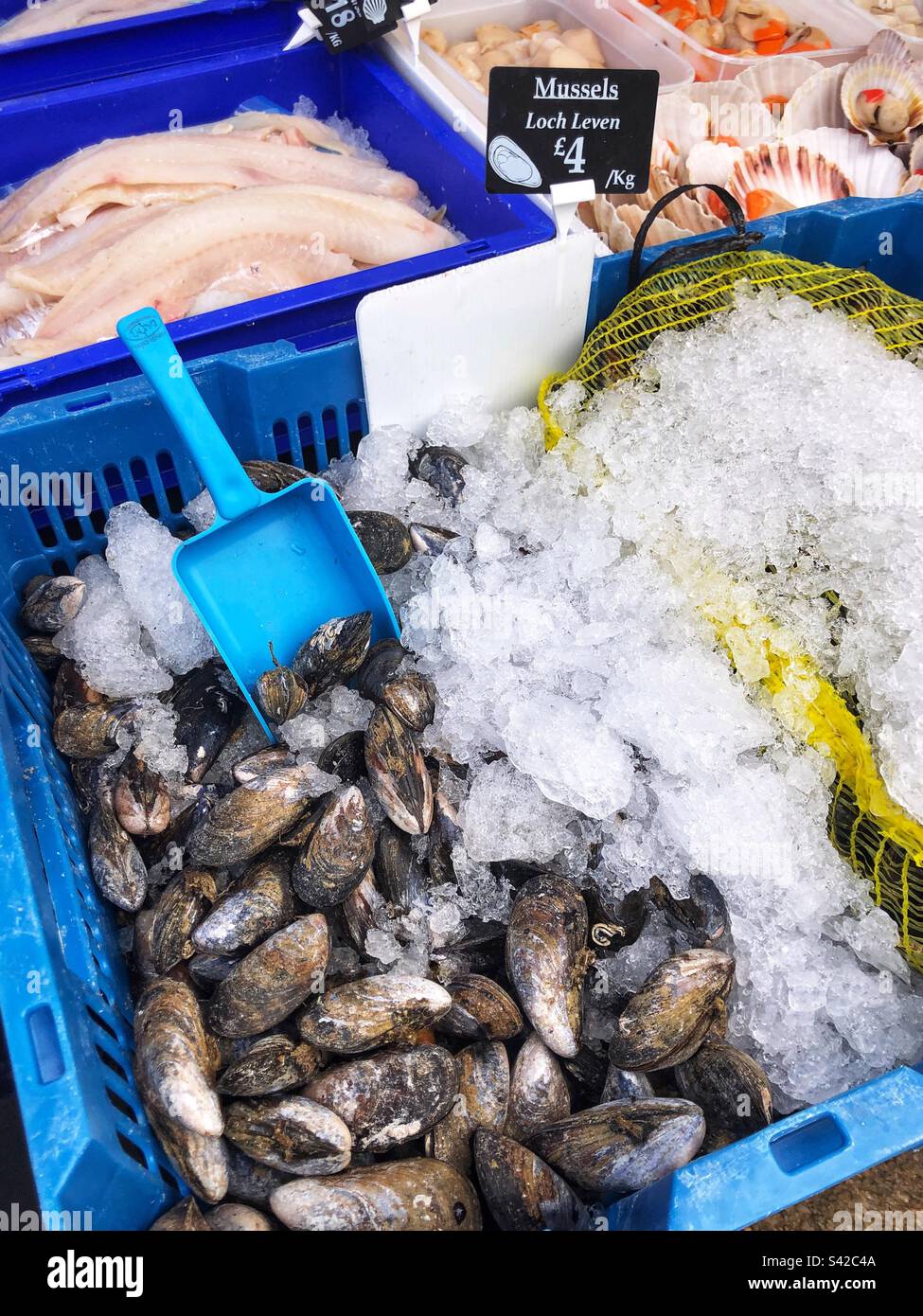Loch Leven Mussels priced up for sale at local farmers market stall - Smartphone Captured Stock Image