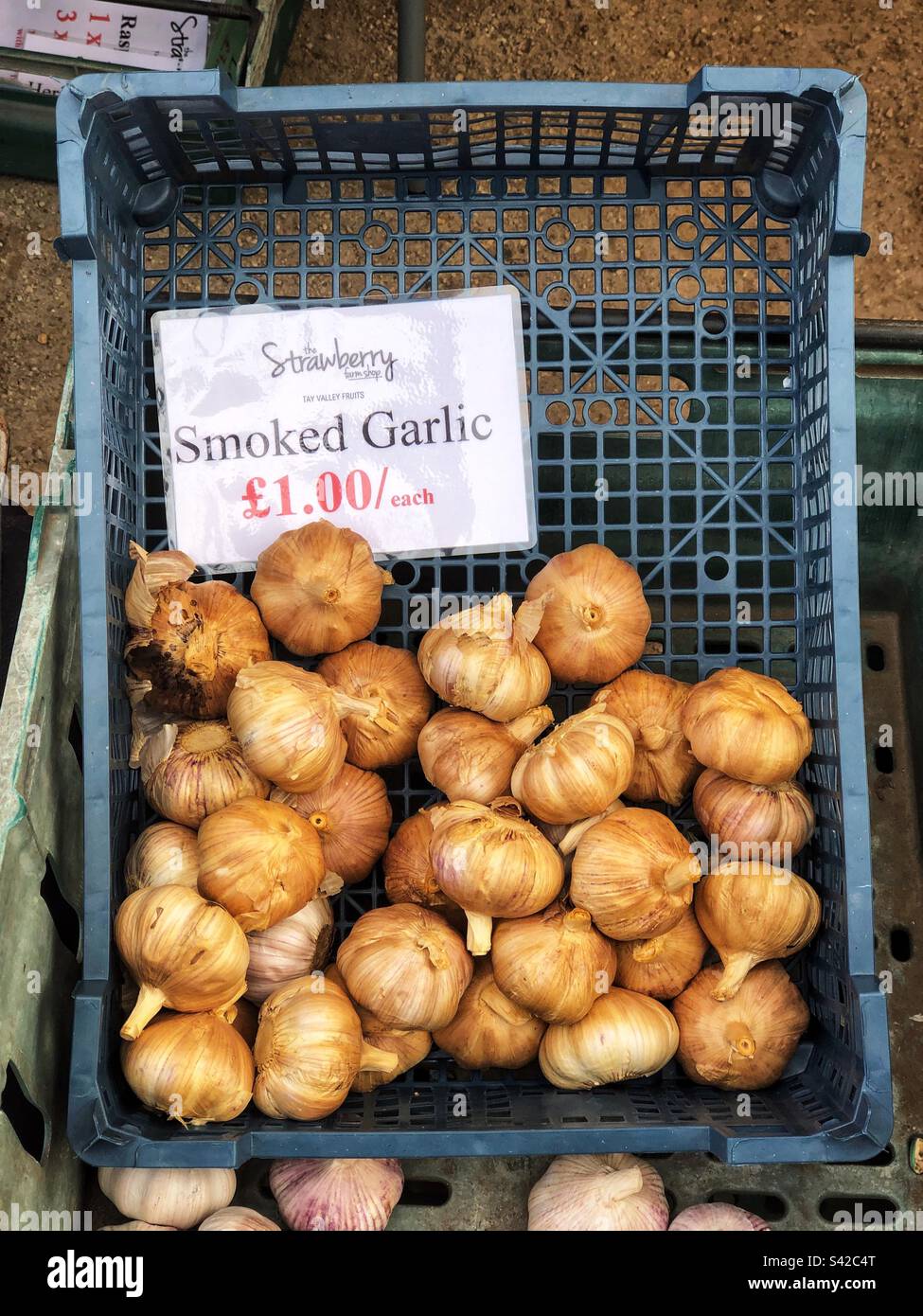 Speciality Smoked Garlic bulb priced up for sale at local farmers market stall - Smartphone Captured Stock Image